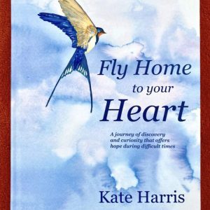 Fly Home to Your Heart book cover