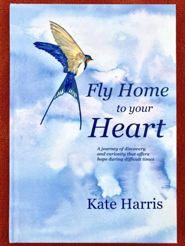 Fly Home to Your Heart book cover